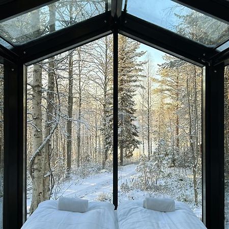 Sky Lodging ~ Sleeping Under The Stars Rovaniemi Zewnętrze zdjęcie
