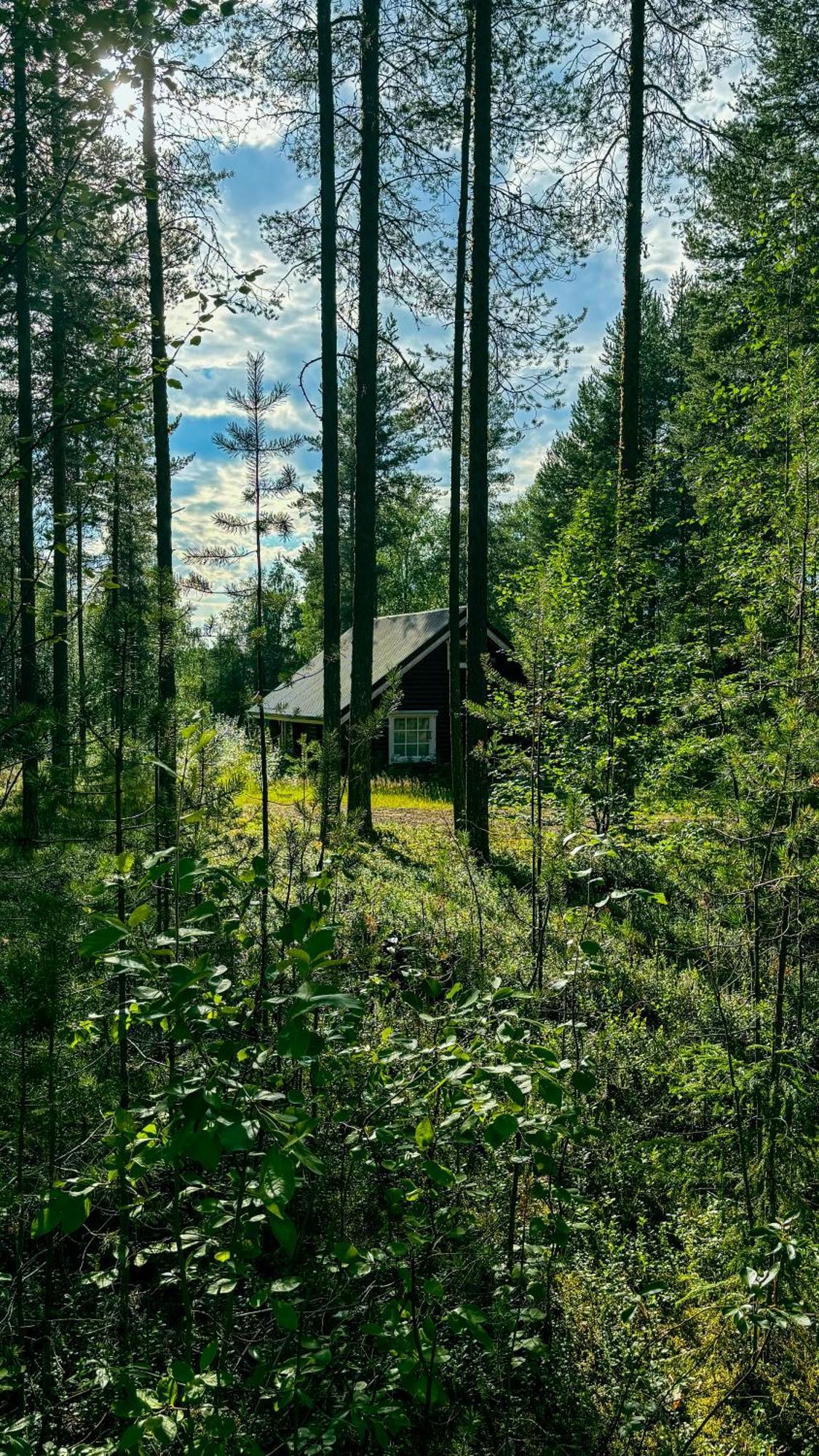 Sky Lodging ~ Sleeping Under The Stars Rovaniemi Zewnętrze zdjęcie