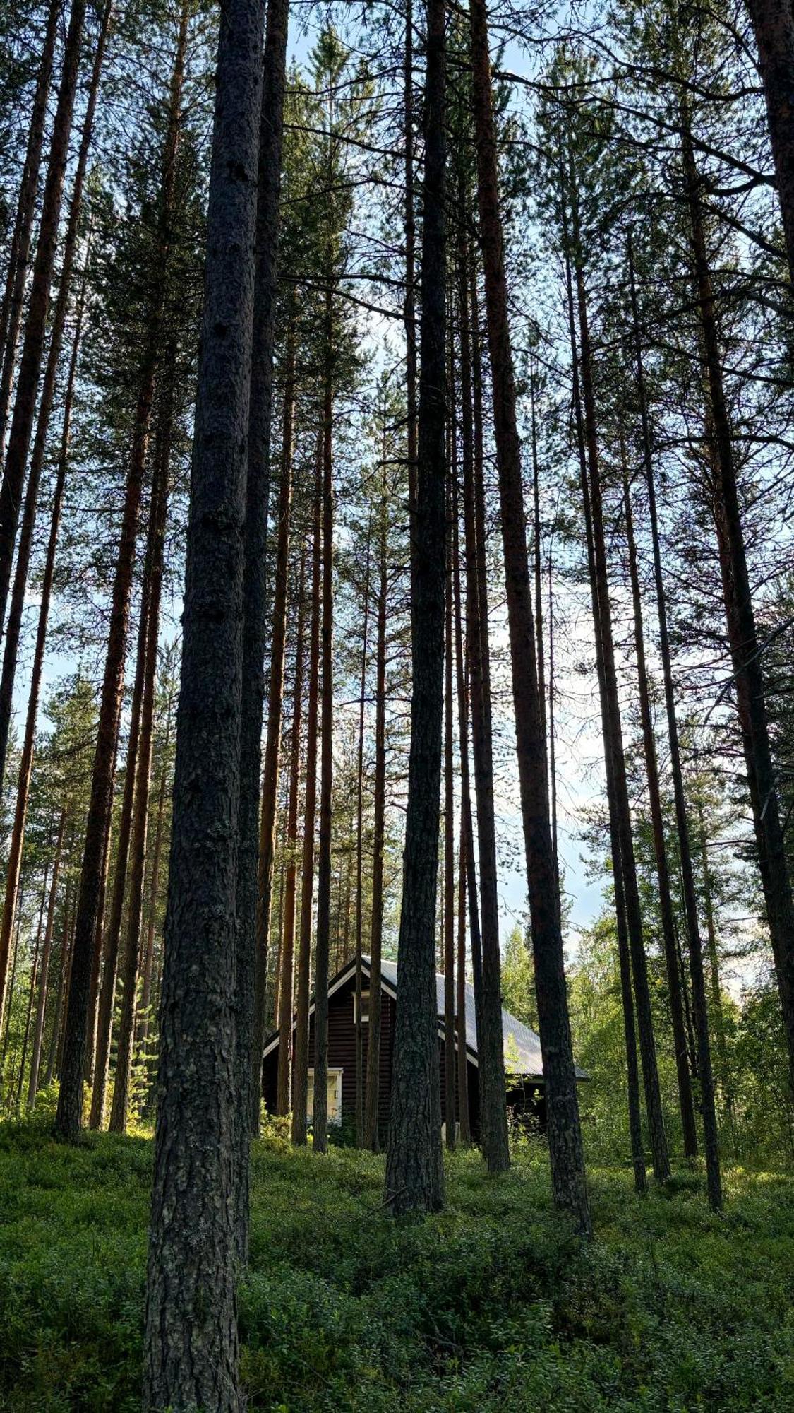 Sky Lodging ~ Sleeping Under The Stars Rovaniemi Zewnętrze zdjęcie