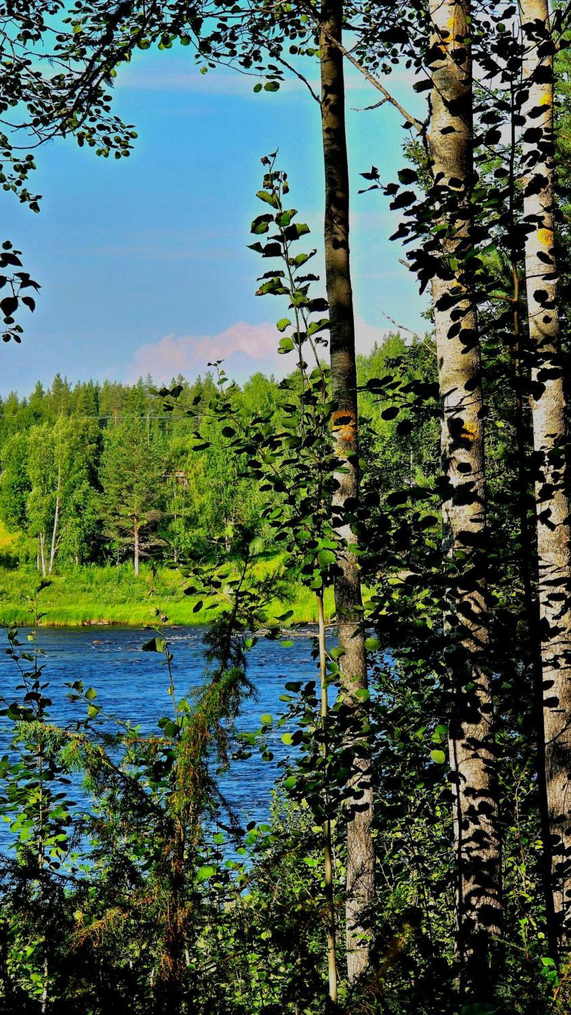 Sky Lodging ~ Sleeping Under The Stars Rovaniemi Zewnętrze zdjęcie
