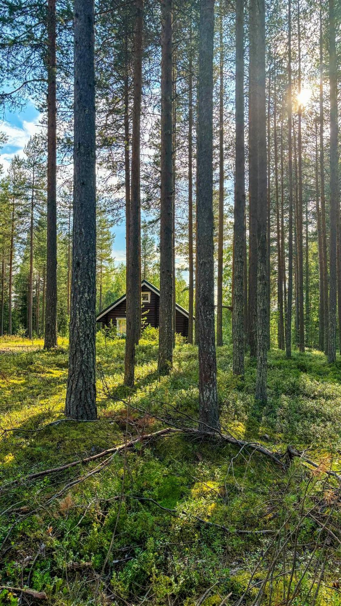 Sky Lodging ~ Sleeping Under The Stars Rovaniemi Zewnętrze zdjęcie