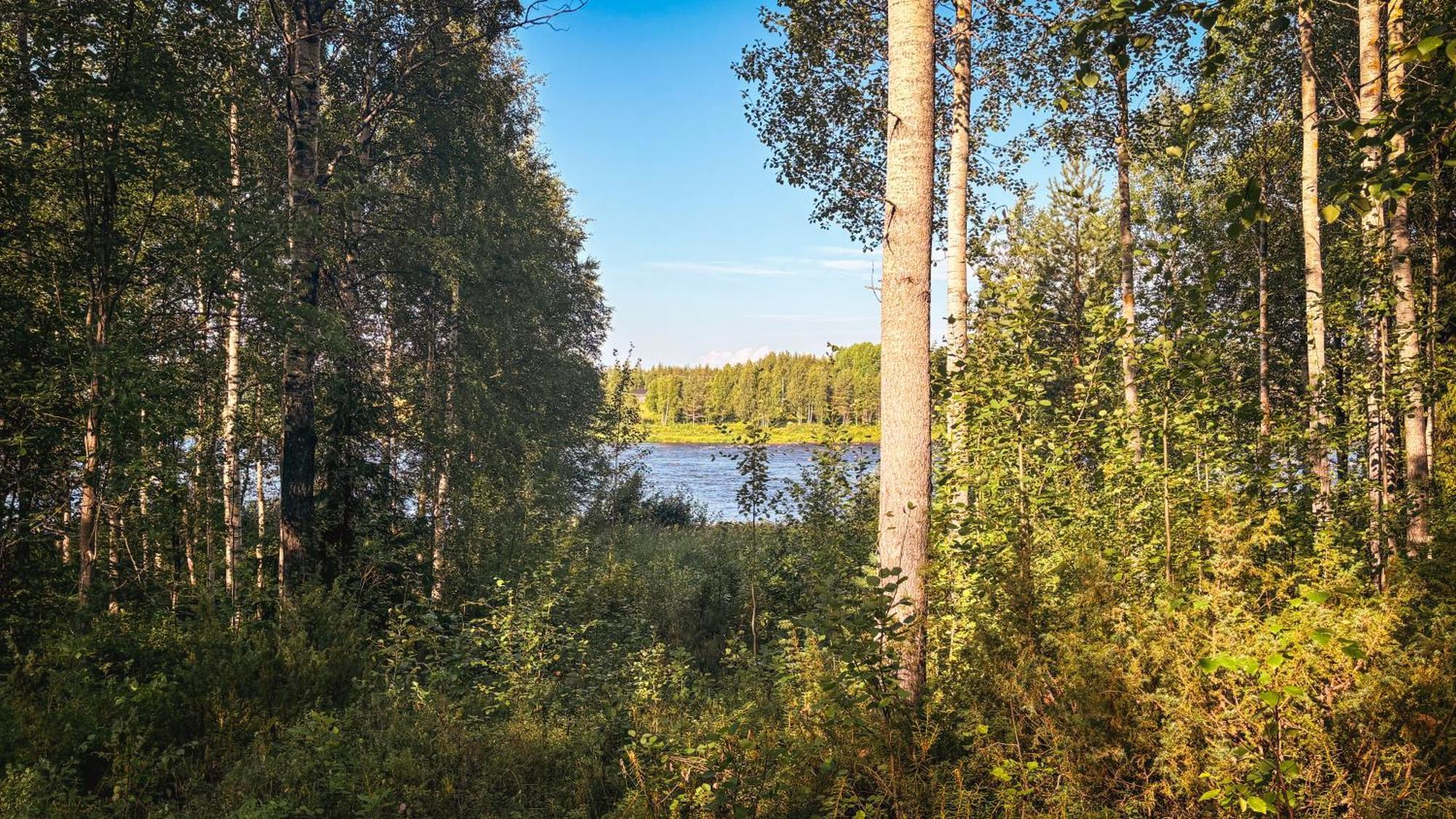 Sky Lodging ~ Sleeping Under The Stars Rovaniemi Zewnętrze zdjęcie