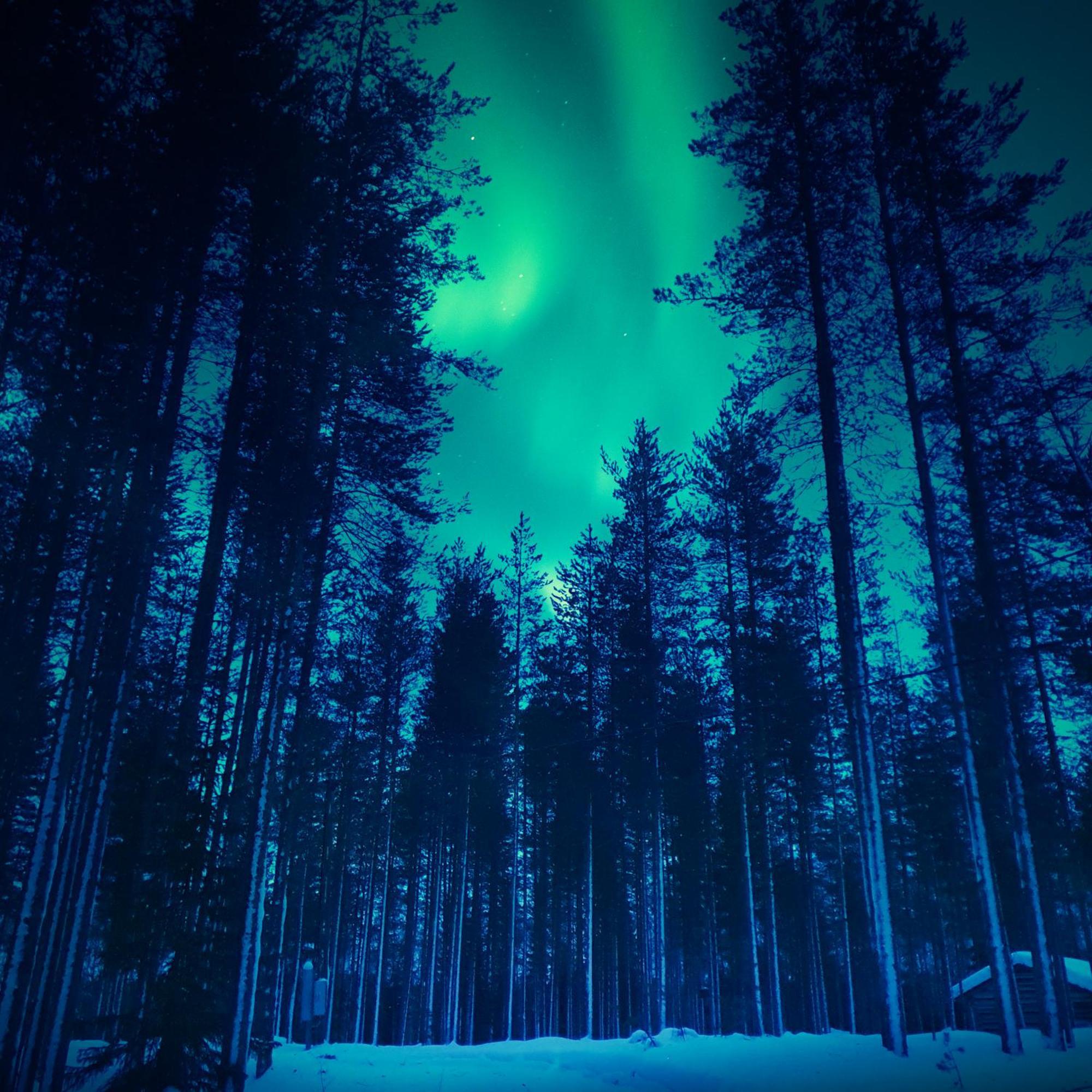 Sky Lodging ~ Sleeping Under The Stars Rovaniemi Zewnętrze zdjęcie